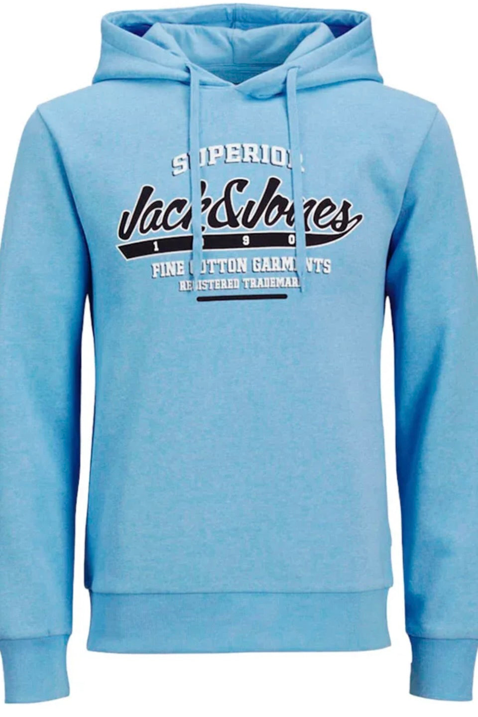 Sweat à capuche JJelogo Bleu Clair