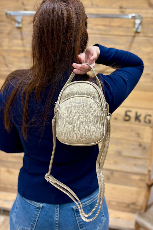 Sac Felicine Taupe Métalisé