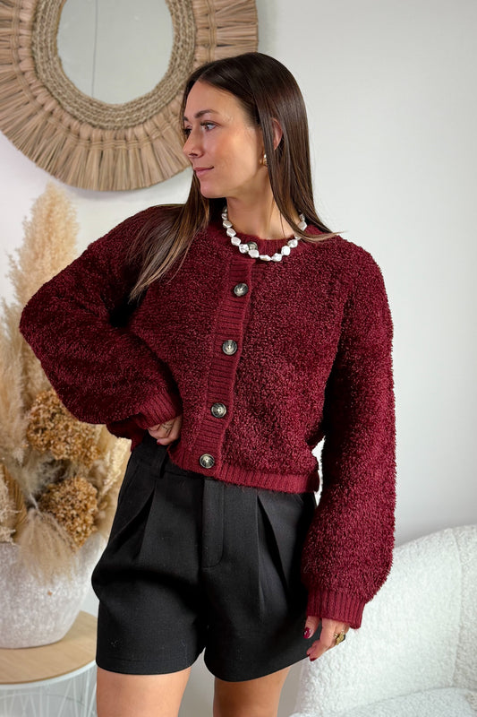 Gilet Eira Bordeaux JDY