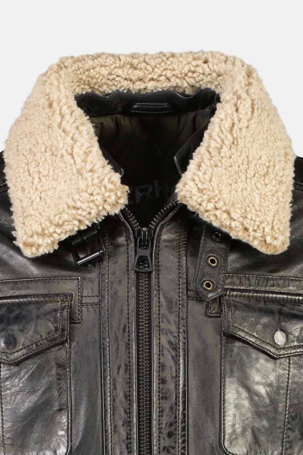 Veste Bradd