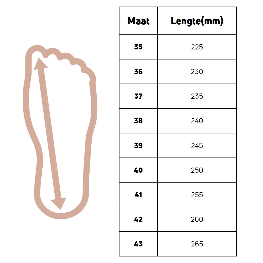 Baskets intemporelles en cuir argenté diamant