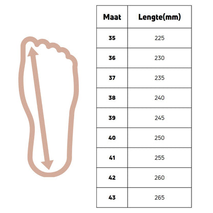 Baskets intemporelles en cuir argenté diamant