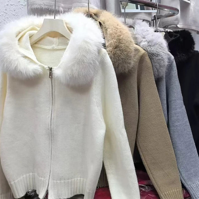 Élégant et stylé Manteau