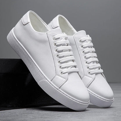 Baskets basses harrington