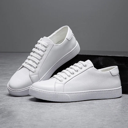 Baskets basses harrington